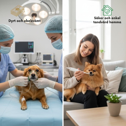 SundTand™ tandvård för hundar – Allt-i-ett-lösning för tandvård