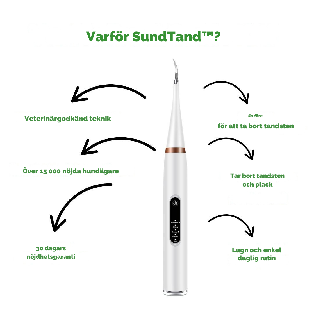 SundTand™ tandvård för hundar – Allt-i-ett-lösning för tandvård