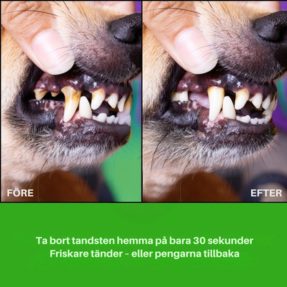 SundTand™ tandvård för hundar – Allt-i-ett-lösning för tandvård