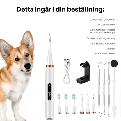 SundTand™ tandvård för hundar – Allt-i-ett-lösning för tandvård