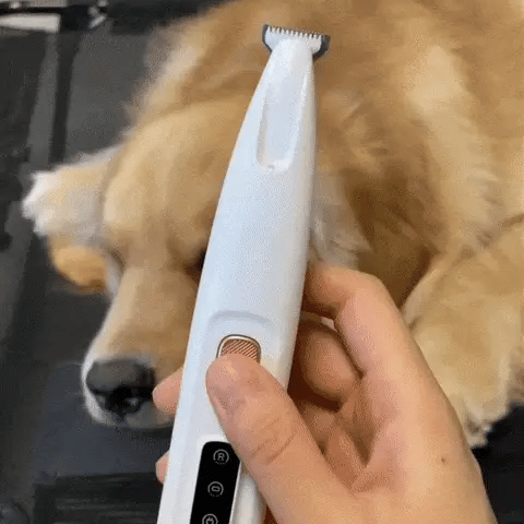 NordTrim™ – Säker och precis trimning av tassar och känsliga områden